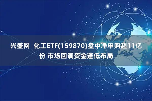 兴盛网  化工ETF(159870)盘中净申购超11亿份 市场回调资金逢低布局