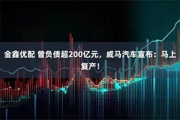 金鑫优配 曾负债超200亿元，威马汽车宣布：马上复产！