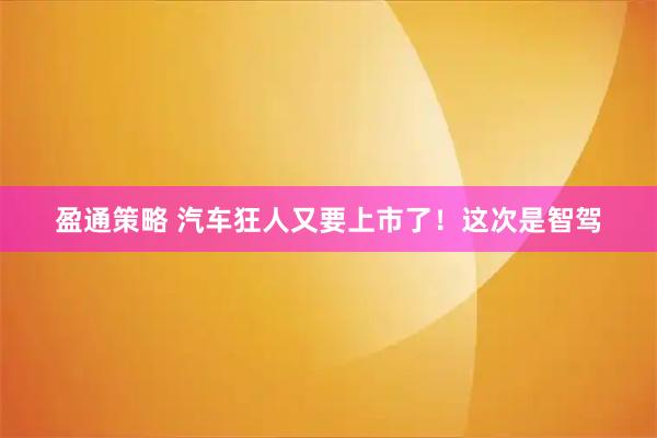 盈通策略 汽车狂人又要上市了！这次是智驾