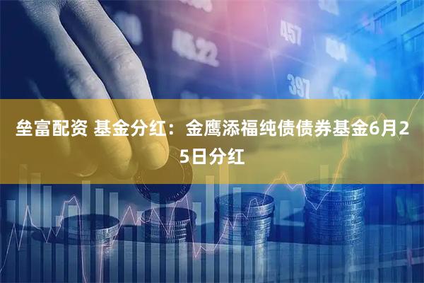 垒富配资 基金分红：金鹰添福纯债债券基金6月25日分红