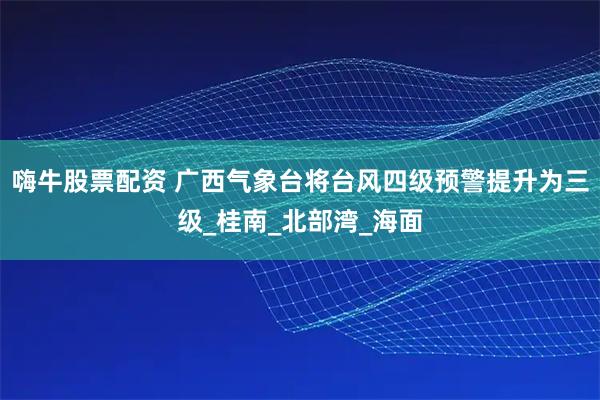 嗨牛股票配资 广西气象台将台风四级预警提升为三级_桂南_北部湾_海面