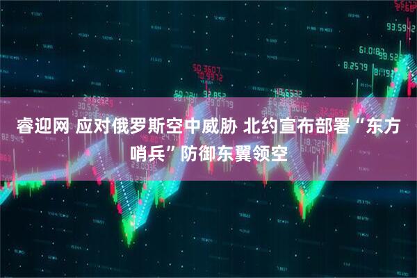 睿迎网 应对俄罗斯空中威胁 北约宣布部署“东方哨兵”防御东翼领空