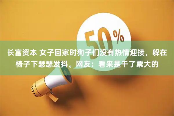 长富资本 女子回家时狗子们没有热情迎接，躲在椅子下瑟瑟发抖。网友：看来是干了票大的