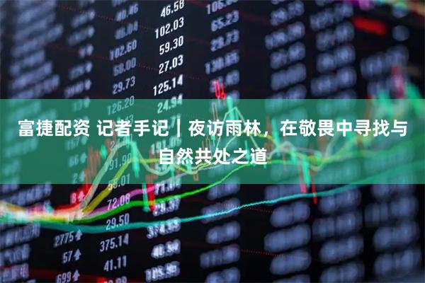富捷配资 记者手记｜夜访雨林，在敬畏中寻找与自然共处之道