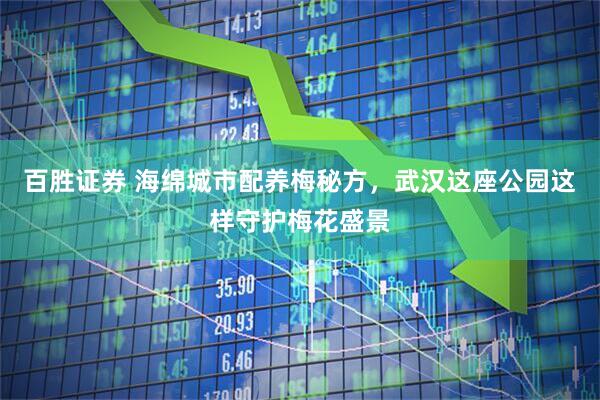 百胜证券 海绵城市配养梅秘方，武汉这座公园这样守护梅花盛景